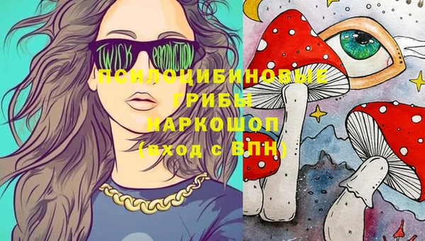 стафф Беломорск