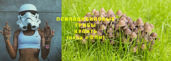 прущая мука Белокуриха