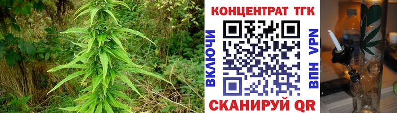 ТГК вейп с тгк  Куса 